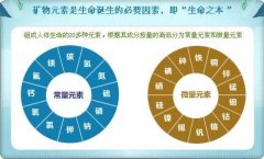 血鉛檢測儀錳能維護線粒體的重要功能它與部分