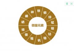 人體微量元素檢測儀微量元素被認為是人類的“