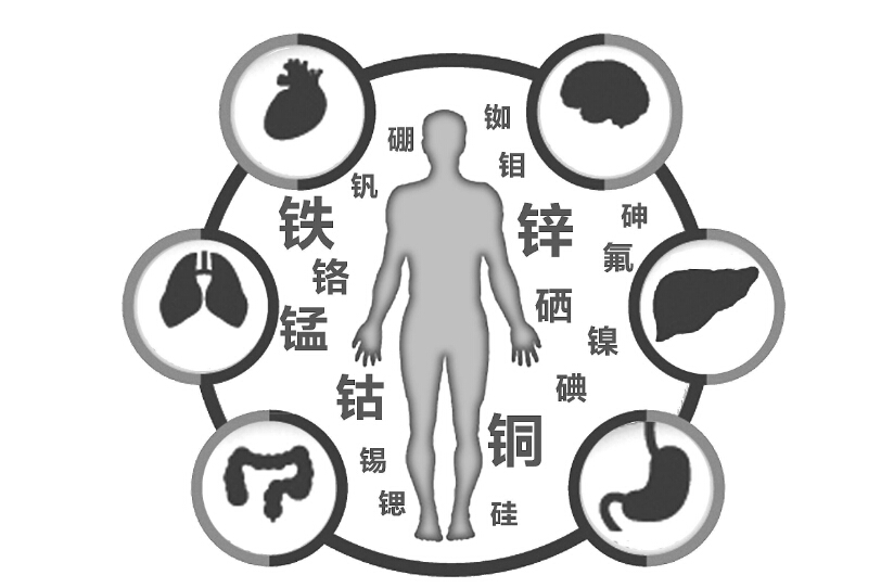 人體是由40多種元素構成的，根據元素在體內含量不同