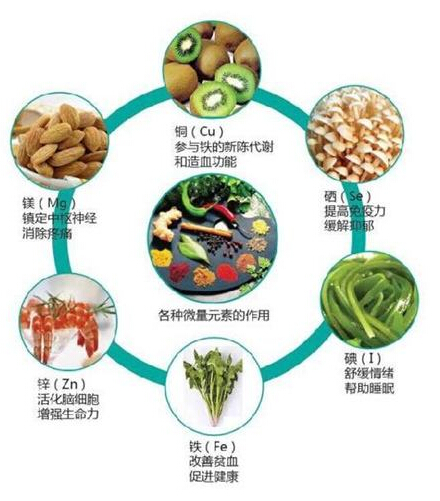 微量元素與健康，食物是補充微量元素的重要途徑