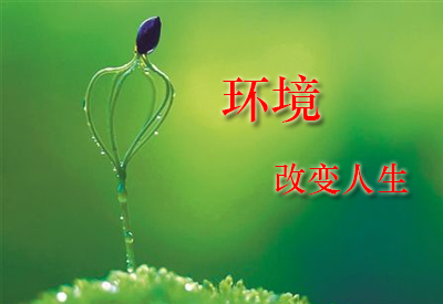 血鉛檢測儀廠家賦詩一篇“是什么改變我們 -環境鉛污染”