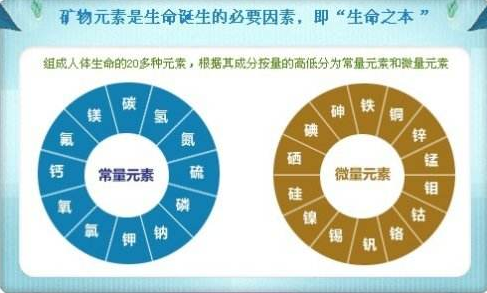 微量元素鋅是人體重要的微量元素之一鋅鈣同補了解下