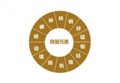 人體各種微量元素的正常指標是多少？