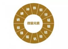 微量元素測試儀廠家儀器檢測人體微量元素所用到的技術