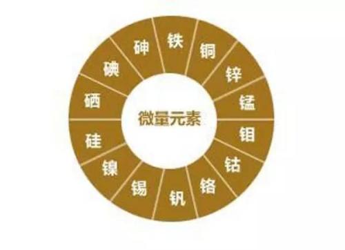 微量元素測試儀廠家儀器檢測人體微量元素所用到的技術