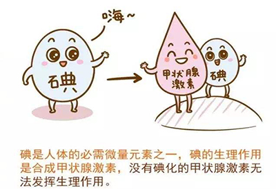 微量元素檢測儀廠家女人缺乏微量元素的表現有什么