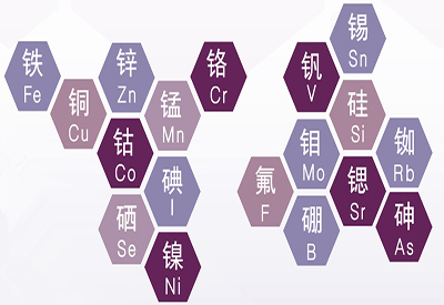 微量元素分析檢測人體都需要哪些微量元素