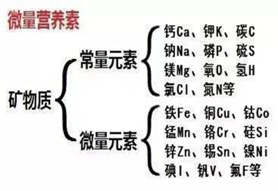 全自動微量元素無創檢測儀微量元素和常量元素的關系
