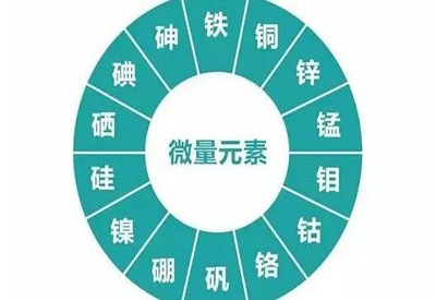 2021/1/15-全自動微量元素分析儀廠家-國康-微量元素指的是什么
