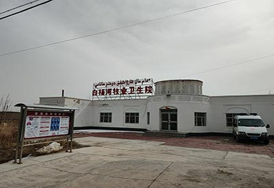 全自動微量元素檢測儀 熱烈慶祝全自動微量元素檢測儀哪家好在新疆白楊河牧業衛生院成功裝機
