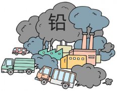 706GK全自動血鉛檢測儀廠家關注：生活中哪些東西會引發鉛中毒？