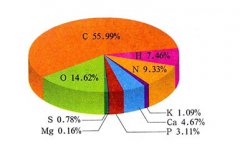 10月人體微量元素測試儀廠家簡述體內含量高的微量元素排名